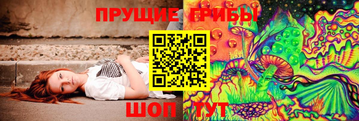 Галлюциногенные грибы Psilocybe Белорецк